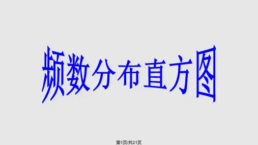 频数分布直方图PPT课件