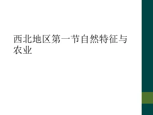 西北地区第一节自然特征与农业