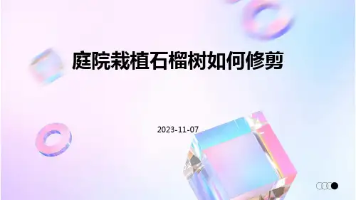 庭院栽植石榴树如何修剪