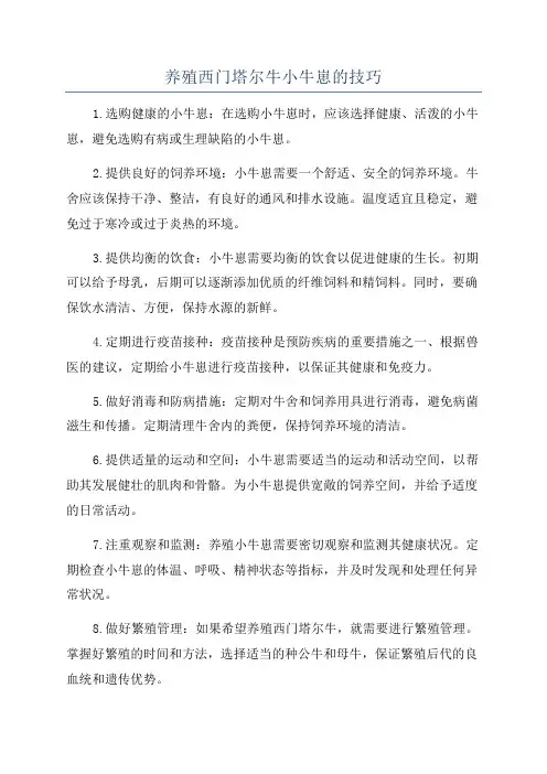 养殖西门塔尔牛小牛崽的技巧