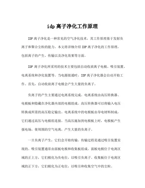idp离子净化工作原理