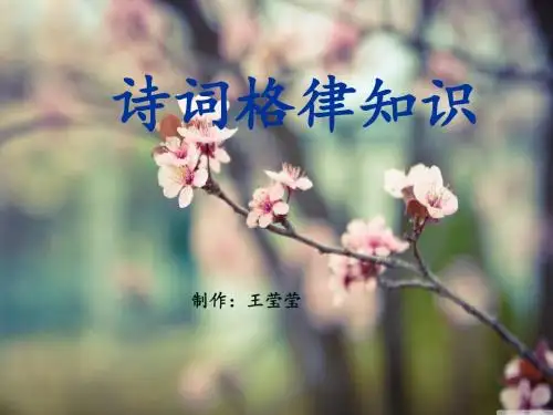 诗词格律基础知识