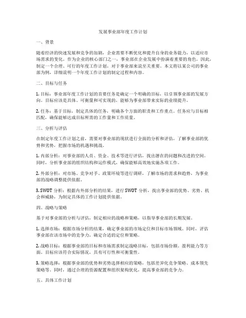 发展事业部年度工作计划