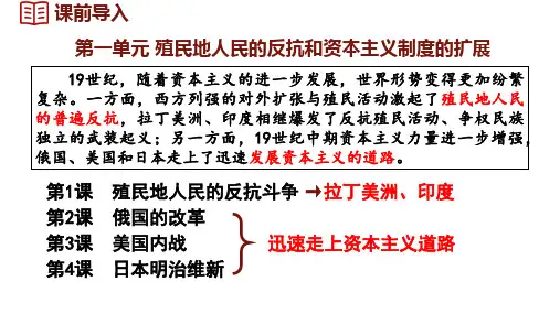 2024-2025学年统编版九年级历史下册 第1课 殖民地人民的反抗斗争(课件)