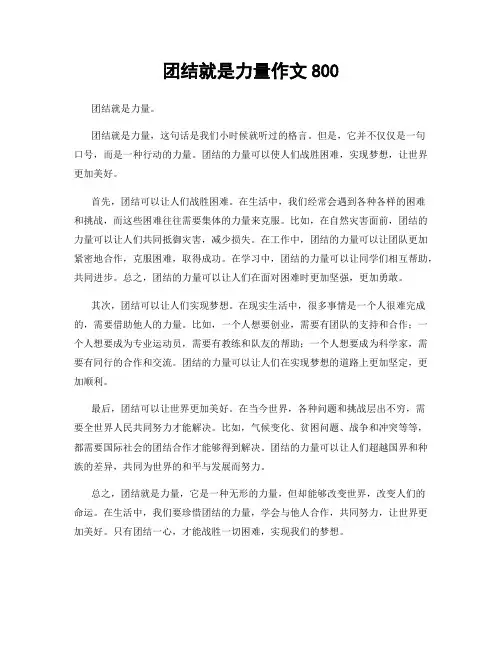 团结就是力量作文800