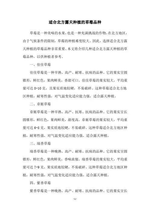 适合北方露天种植的草莓品种