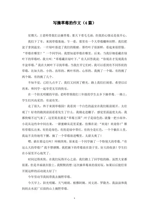 写摘草莓的作文(4篇)