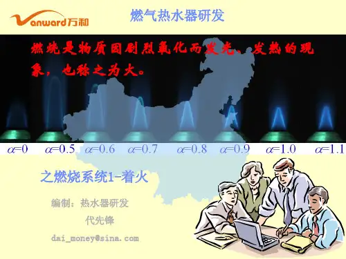 燃气热水器之燃烧系统1-着火(万和新电气股份有限公司)