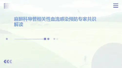 麻醉科导管相关性血流感染预防专家共识解读ppt课件