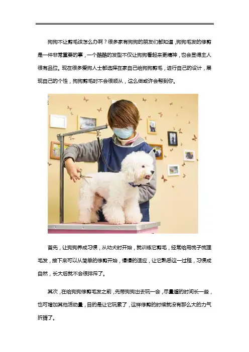 狗狗不让剪毛怎么办