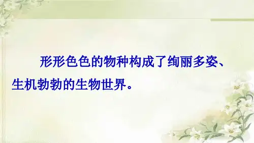 许多物种消失了第一课时