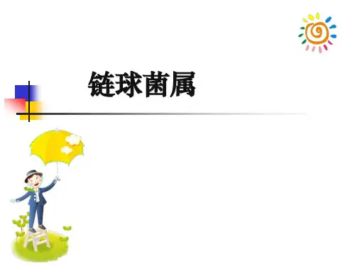 链球菌属ppt课件