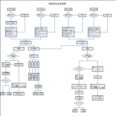 ACS诊治总流程图4