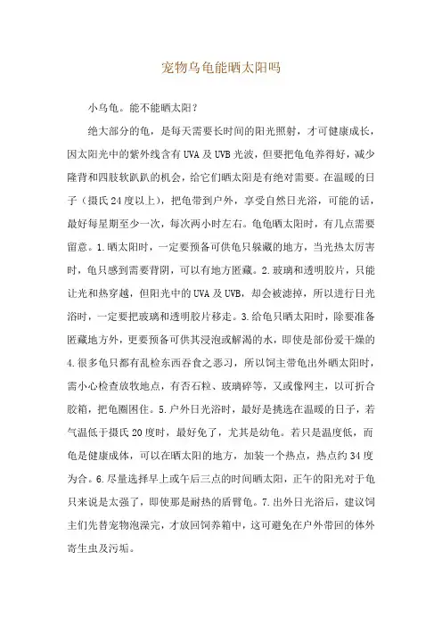 宠物乌龟能晒太阳吗