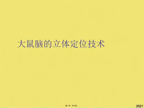 大鼠脑的立体定位技术(共10张PPT)