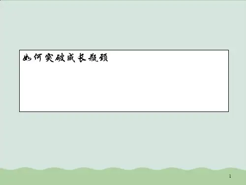 如何突破成长瓶颈PPT课件