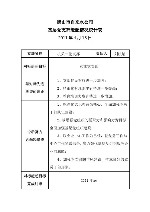 对标赶超情况统计表