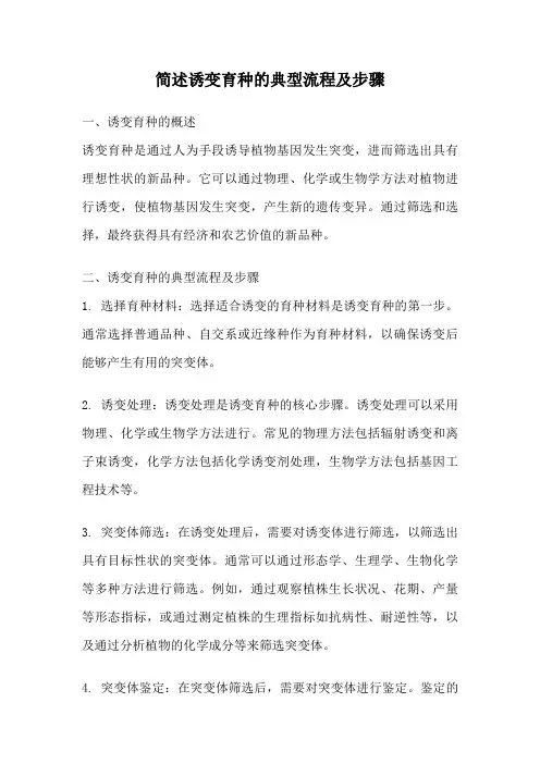 简述诱变育种的典型流程及步骤