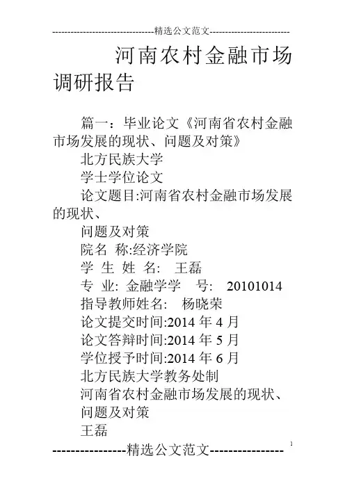 河南农村金融市场调研报告