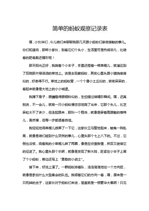 简单的蚂蚁观察记录表
