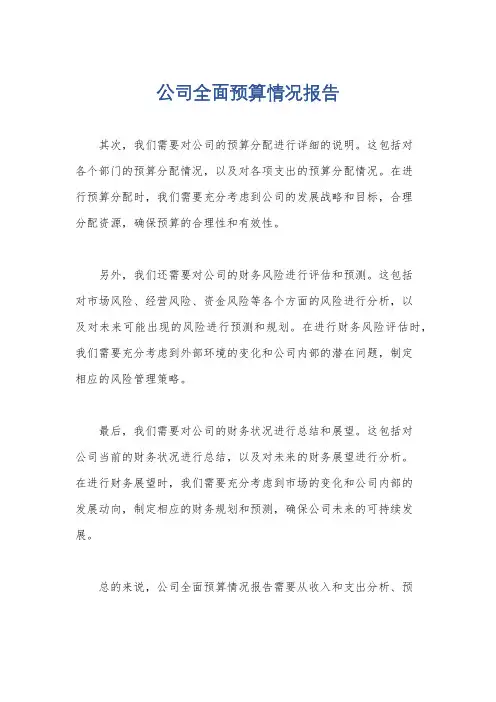 公司全面预算情况报告