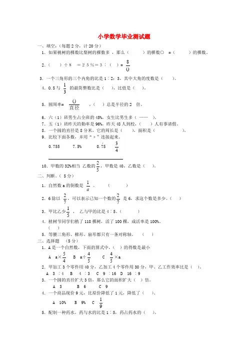 小学数学毕业测试题(无答案) 人教版