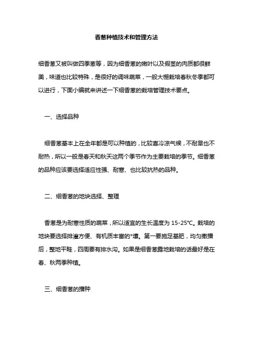 香葱种植技术和管理方法