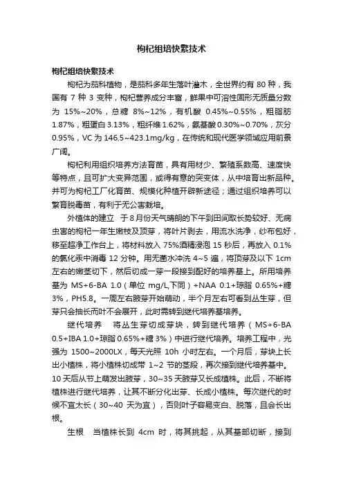 枸杞组培快繁技术