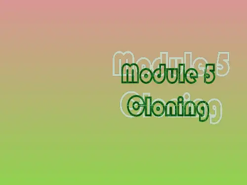 外研版选修6Module5Reading课件
