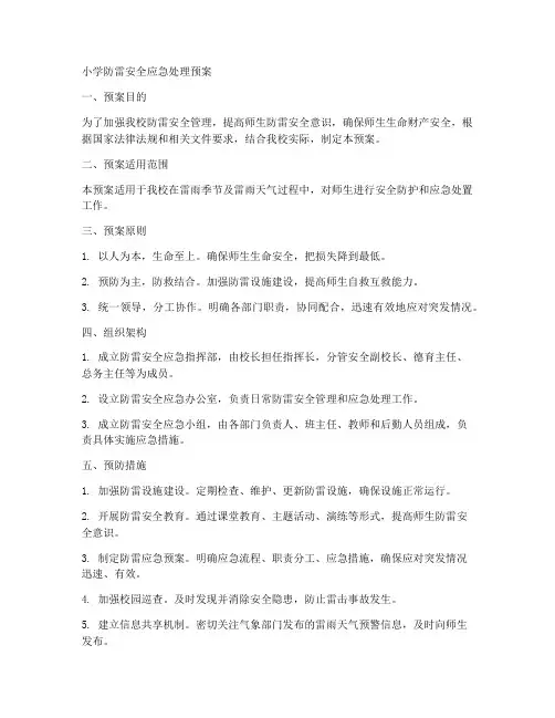 小学防雷安全应急处理预案