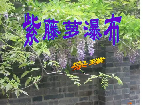17《紫藤萝瀑布》省公开课一等奖全国示范课微课金奖PPT课件
