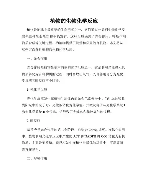 植物的生物化学反应