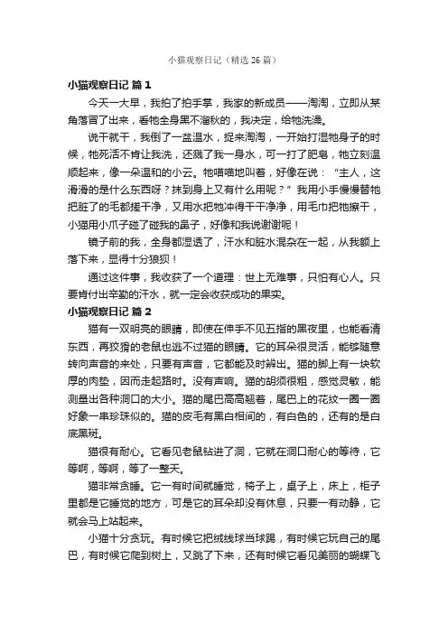 小猫观察日记（精选26篇）