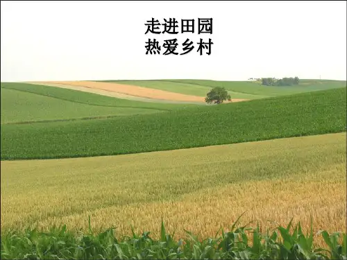 人教版语文四年级下册第六单元习作PPT课件