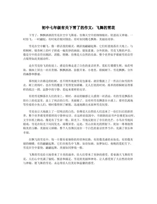 初中七年级有关下雪了的作文：飞舞的雪花
