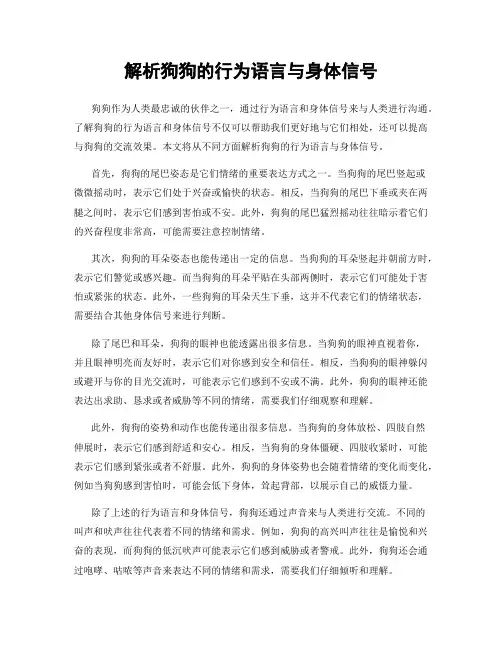 解析狗狗的行为语言与身体信号
