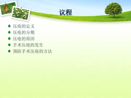 术中压疮的防护课件【PPT课件】