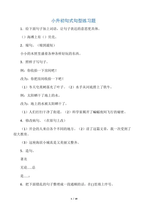 小升初语文句式句型练习题