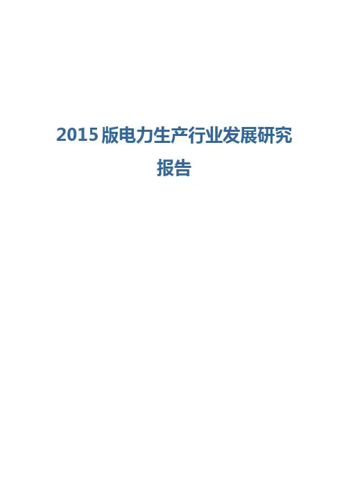 2015版电力生产行业发展研究报告