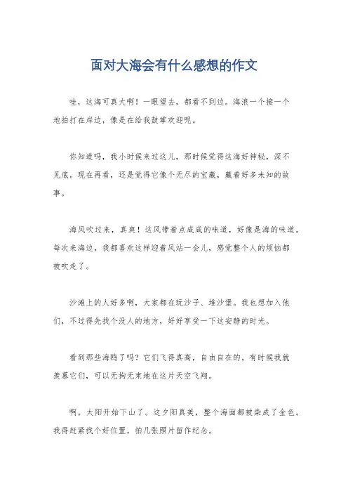 面对大海会有什么感想的作文