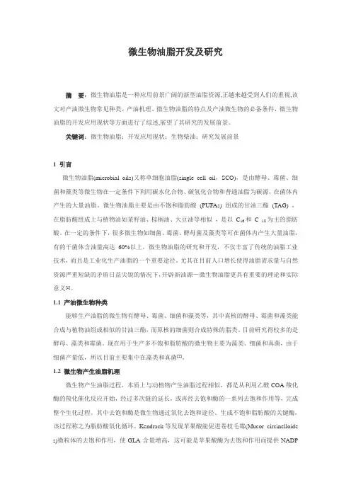 微生物油脂开发及研究