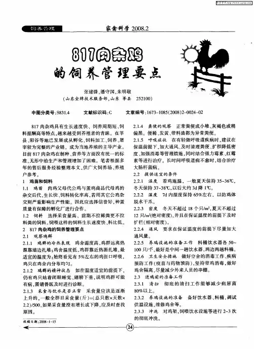 817肉杂鸡的饲养管理要点