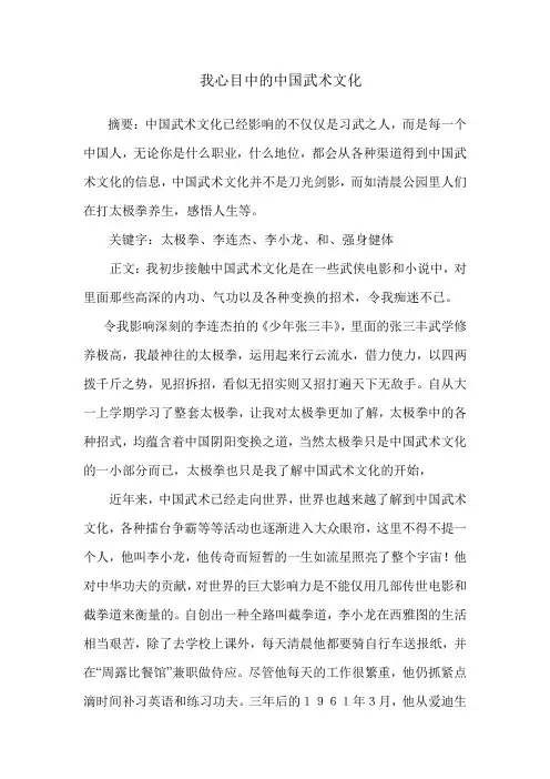 我心目中的中国武术文化