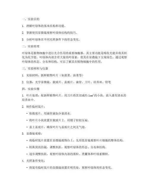 叶绿体结构观察实验报告