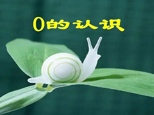 新人教版一年级数学上册《 0的认识 1》 课件.ppt