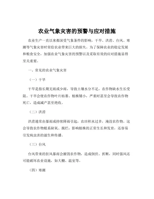 农业气象灾害的预警与应对措施