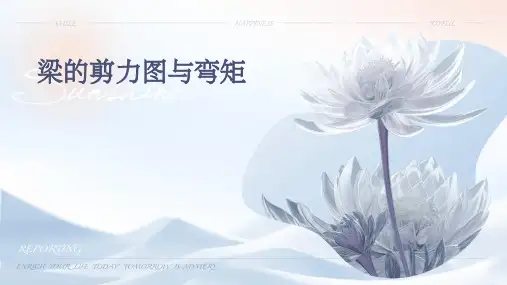 梁的剪力图与弯矩 