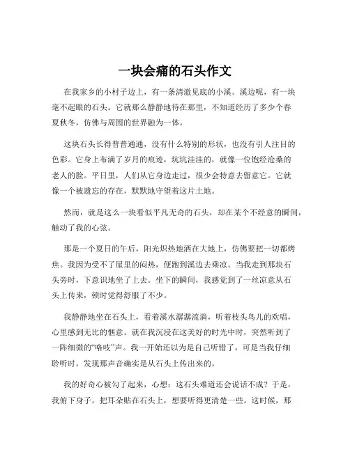 一块会痛的石头作文