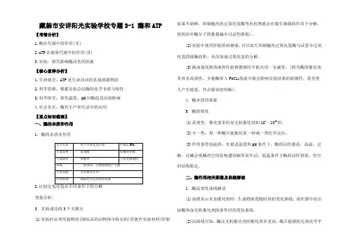 高考生物一轮复习 知识点讲解专题 酶和ATP