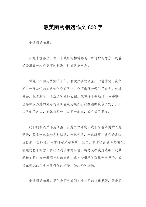最美丽的相遇作文600字